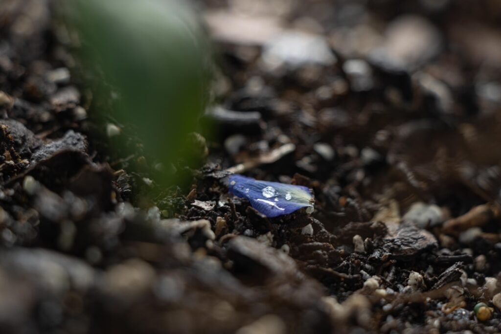 The 'hidden gem' offering a place to grow, connect and heal