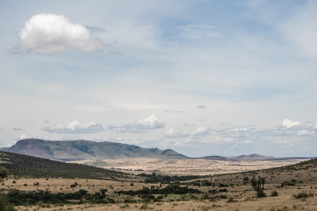 Africa: Can Restoring Land Create Jobs? These Young Entrepreneurs Are Proving It