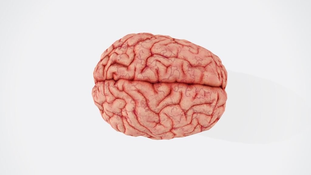Brain disease in dead NFL players 'higher than previously shown'