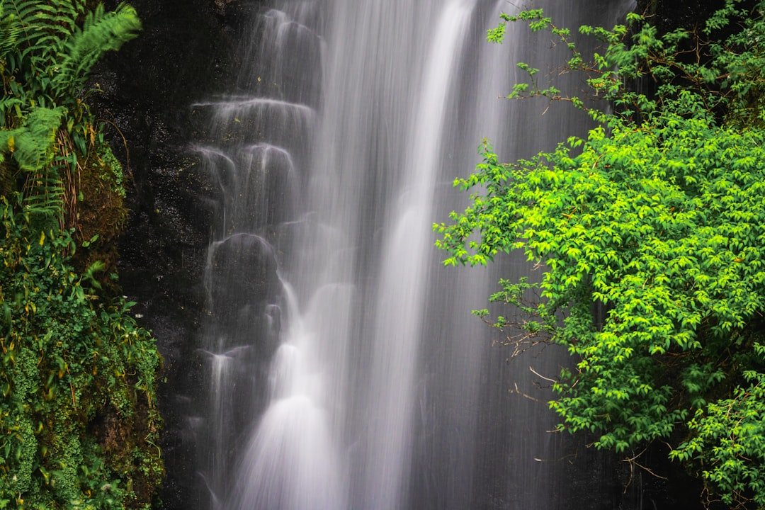 Illustrative image — Photo by K. Mitch Hodge on Unsplash