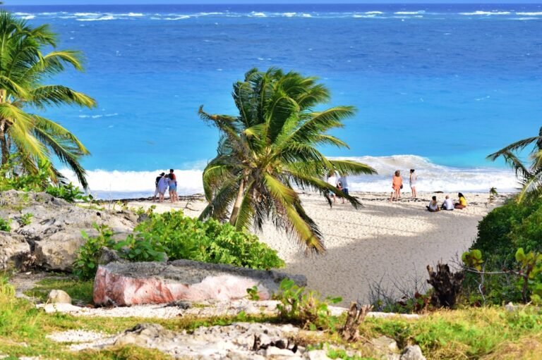 Farm theft reports plunge sharply in St Bess