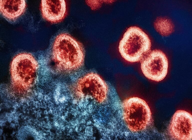 Salmonella outbreak: What we know so far