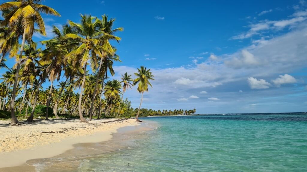 Over 160 Haitians deported to Cap-Haïtien from US and Bahamas in one day