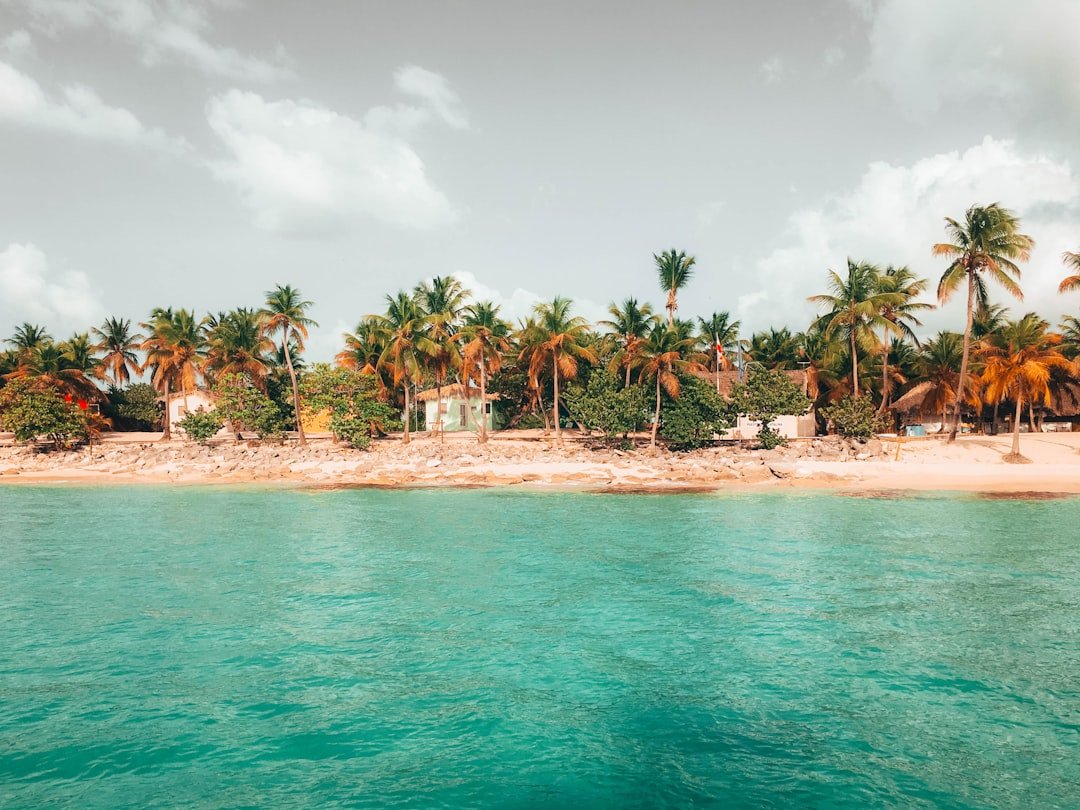 Illustrative image — Photo by Giusy Iaria on Unsplash