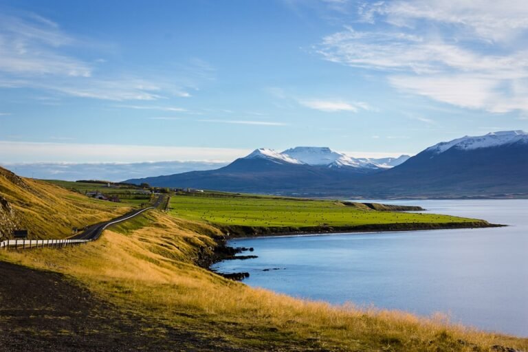 Iceland on track to reject EU referendum as counting nears end