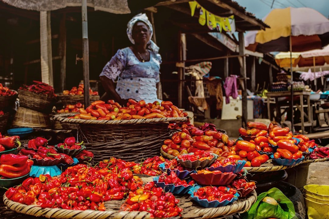 Illustrative image — Photo by Tope. A Asokere on Unsplash