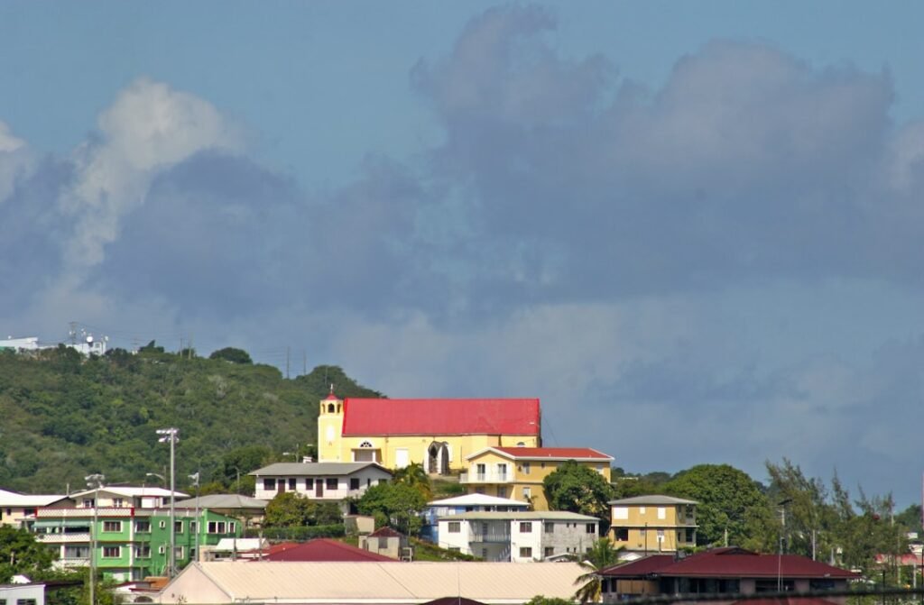 Estwick elected DLP president