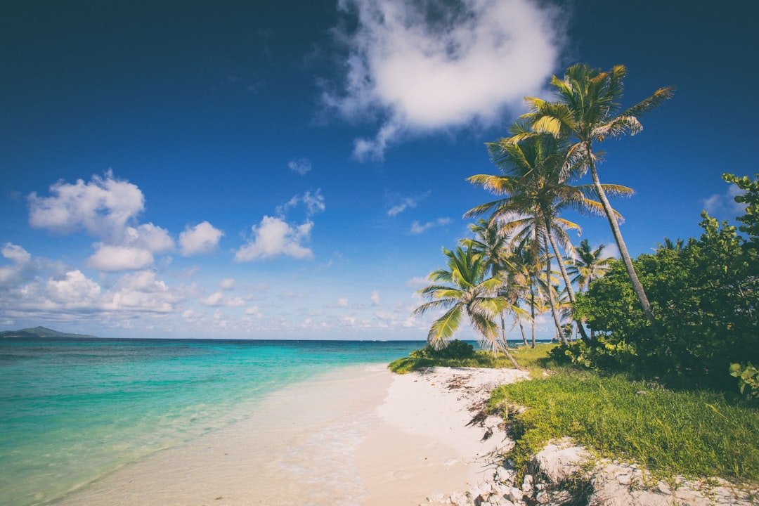 Illustrative image — Photo by Christian Lendl on Unsplash