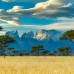 Africa’s Next Tourism Boom Will Be Won in the Mid-Market