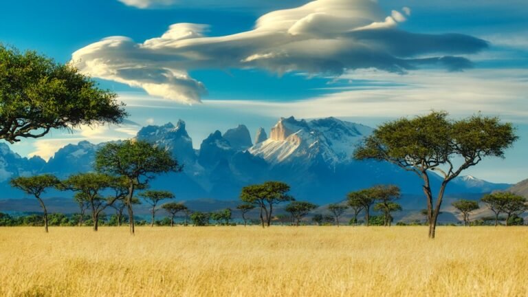 Africa’s Next Tourism Boom Will Be Won in the Mid-Market