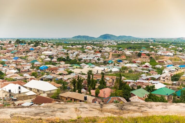 Beyond akara: Nigeria needs a bigger conversation around enterprise, By ‘Lande Atere