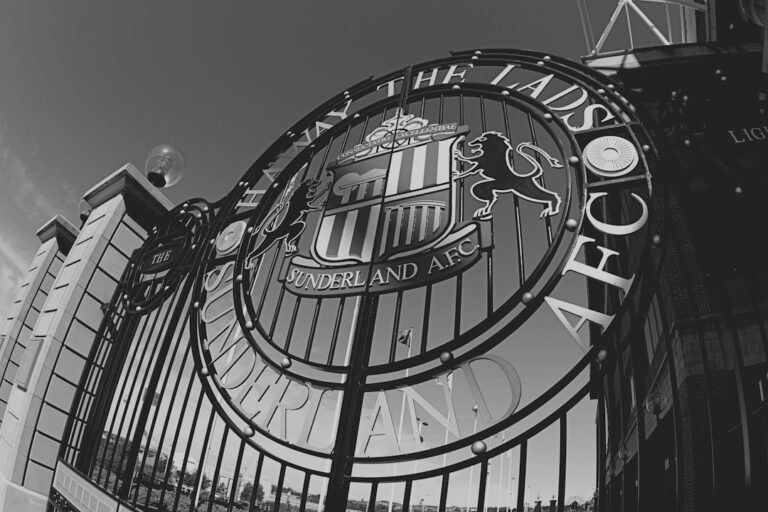 Sunderland agree loan deal with Spurs for Danso