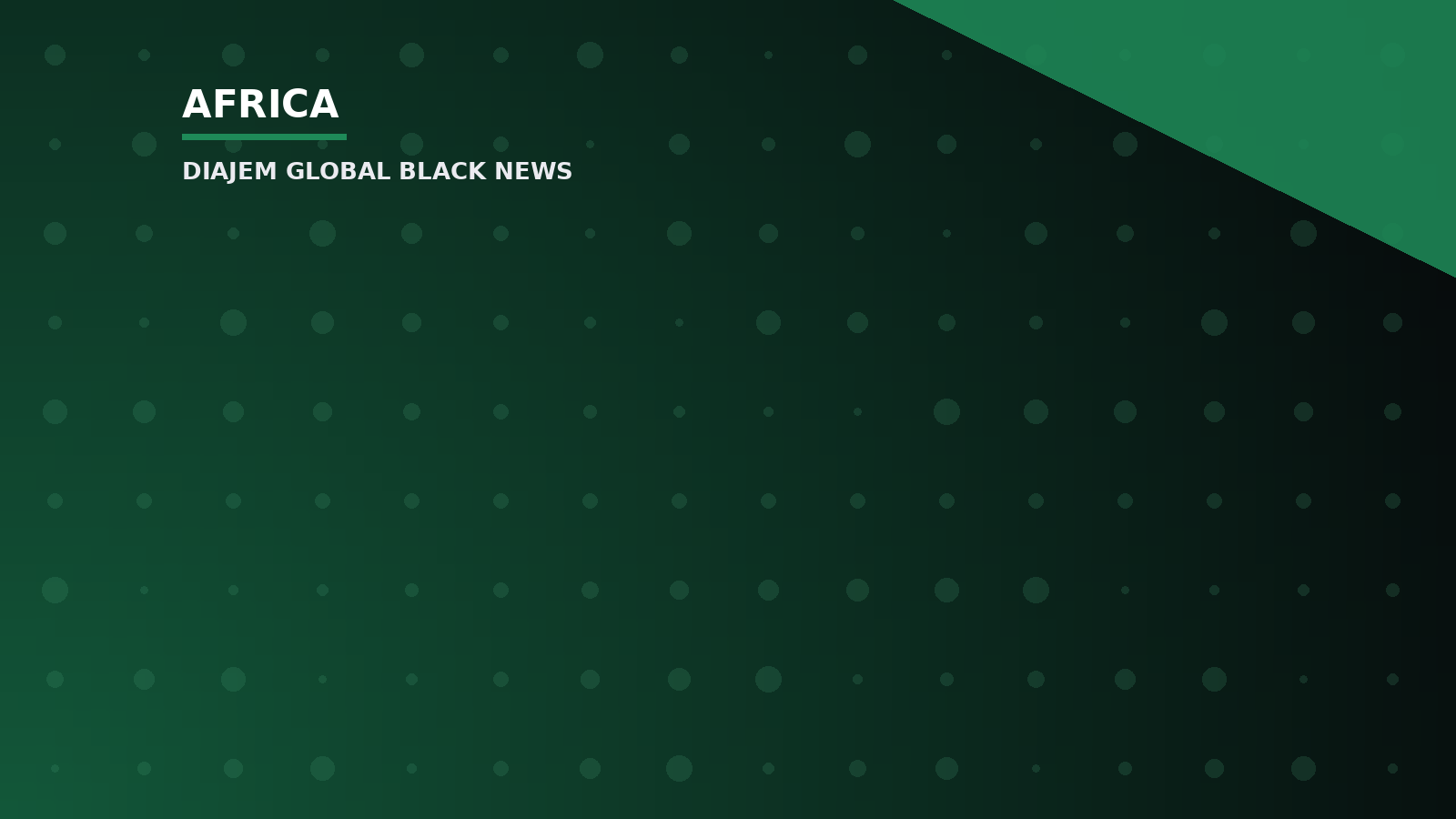 Niger agency raises alarm over cracks at Kaduna dam, warns of flood risk — Diajem Global Black News