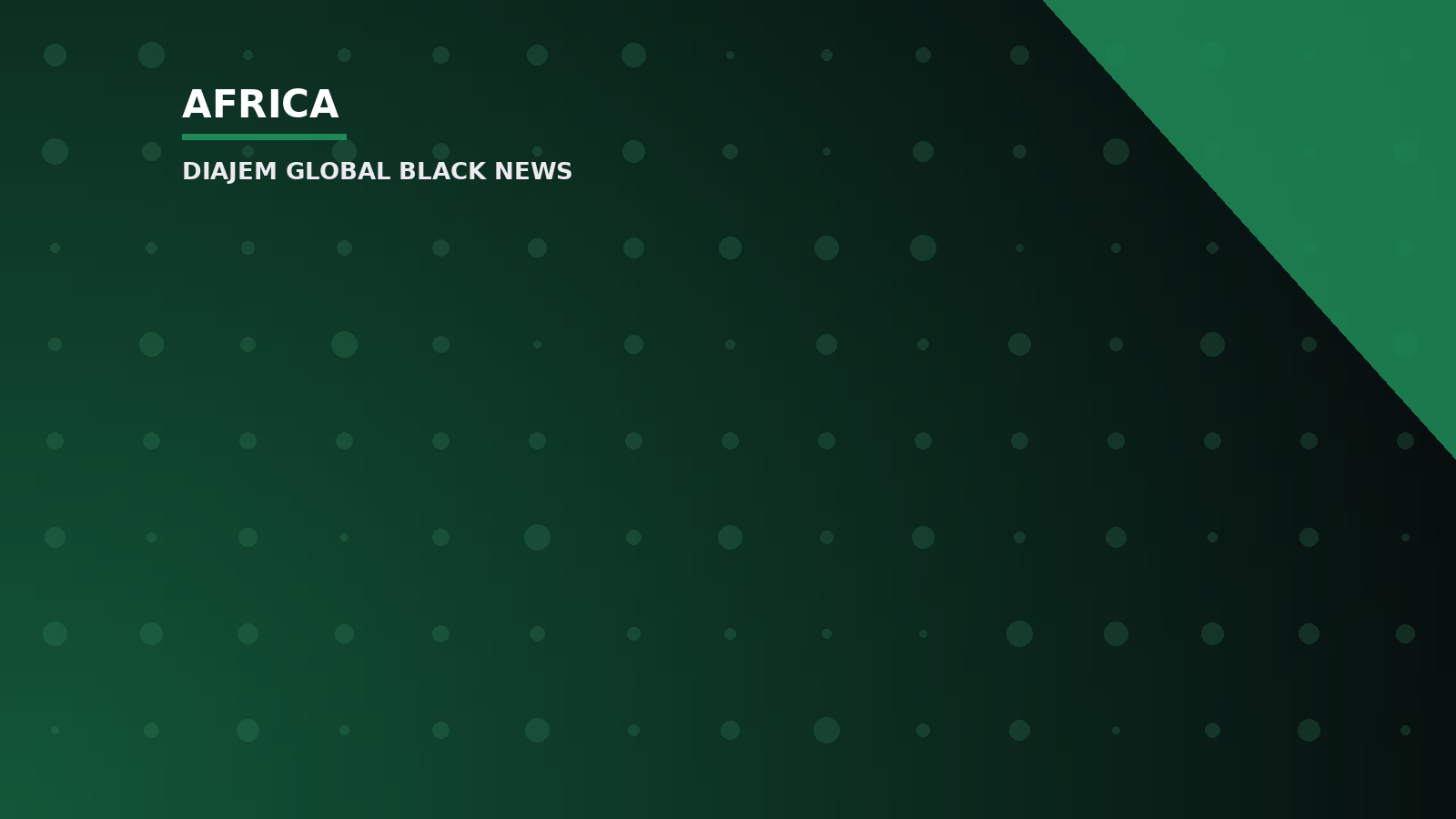 INVESTIGATION: The multi-million dollar Norwegian scam and the role of a Nigerian — Diajem Global Black News