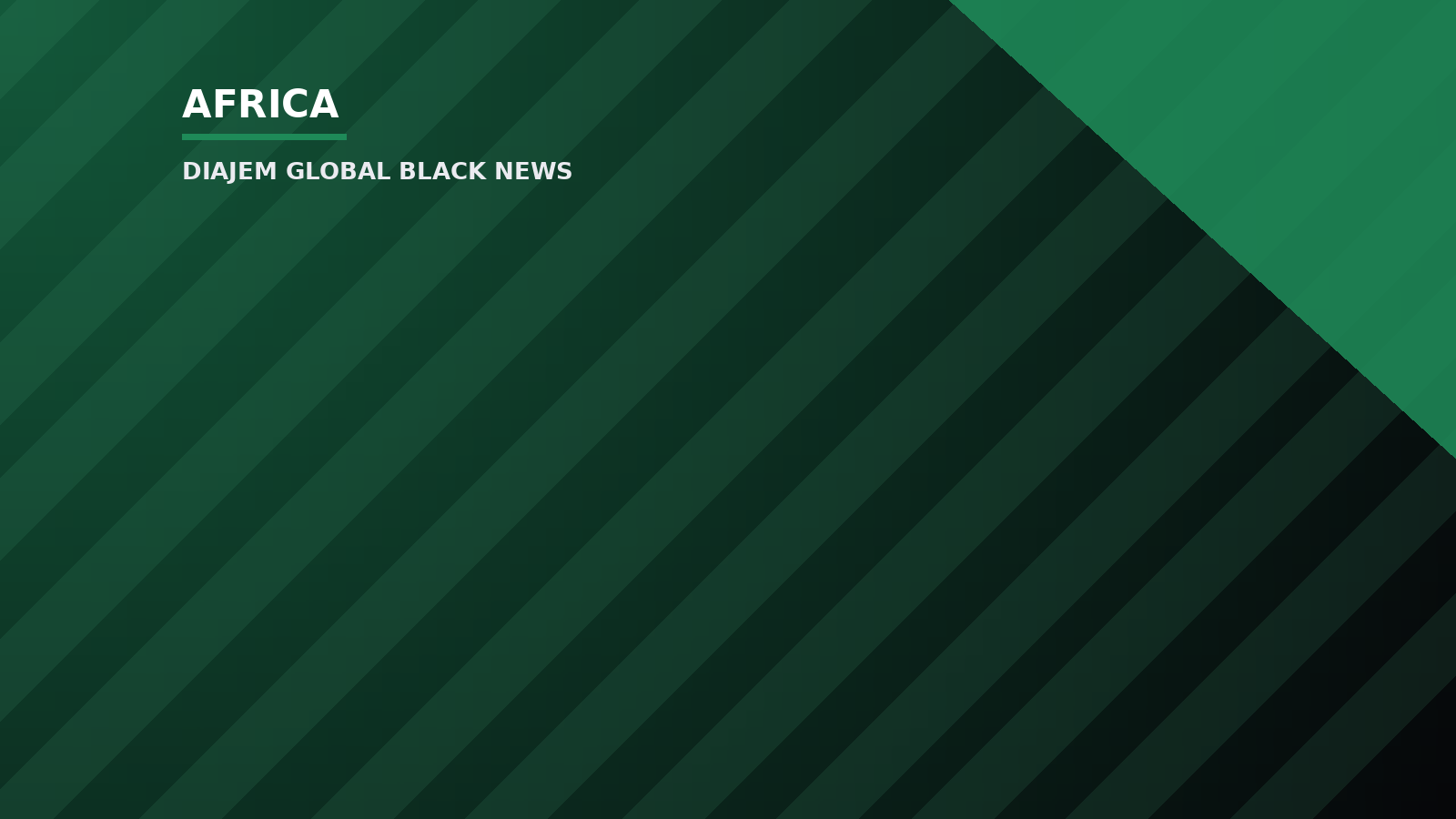 GIPA CEO calls for stronger coordination to provide a clearer picture of investment activity — Diajem Global Black News
