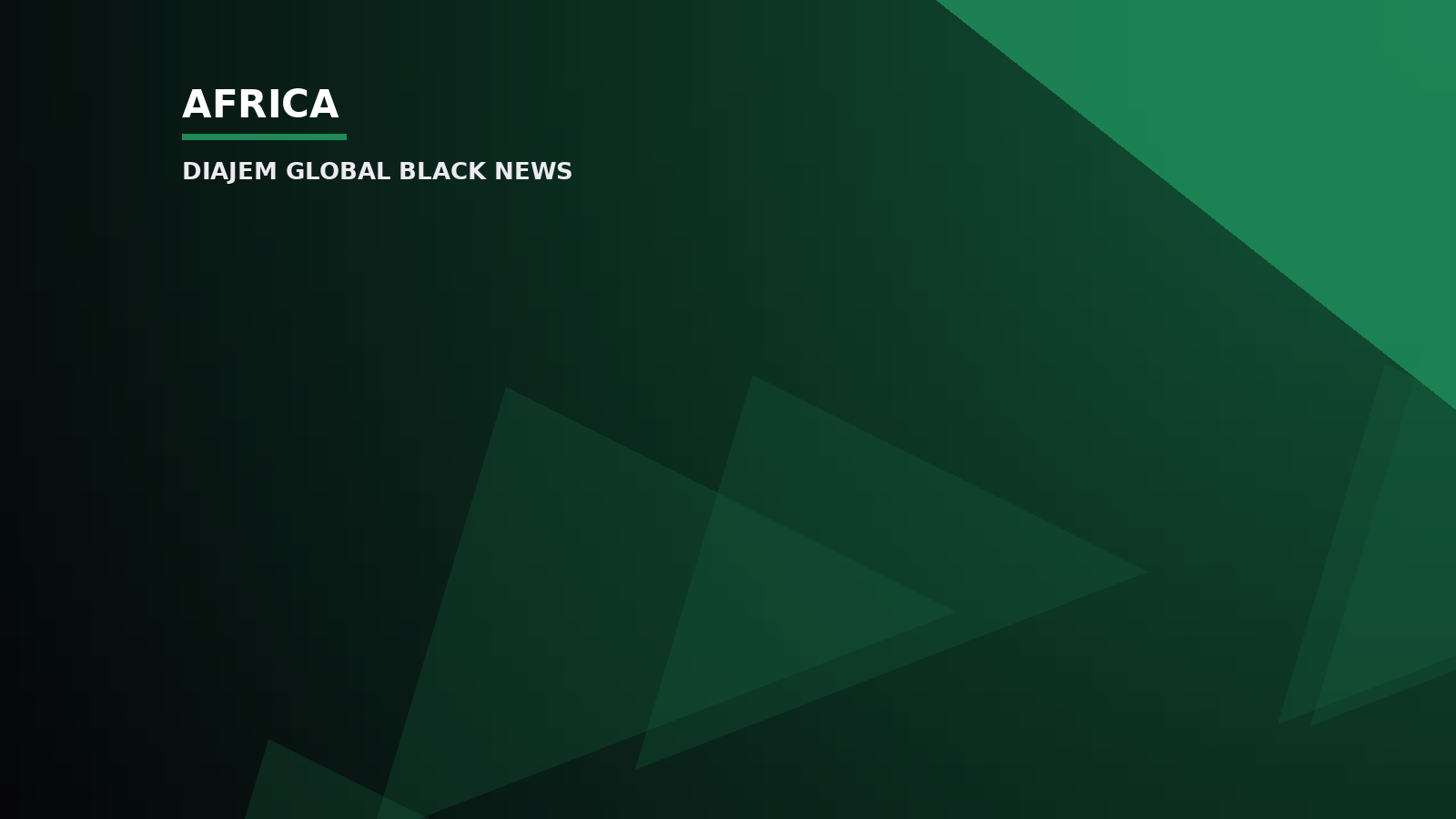 NDC should remove content creators posing as activists — Spokesperson — Diajem Global Black News