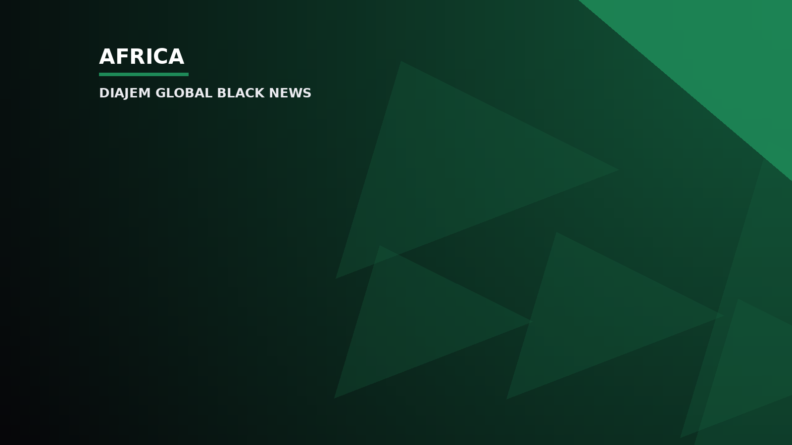 OSP faces crucial test to deliver after years of public support – CDD-Ghana’s Pumpuni Asante — Diajem Global Black News