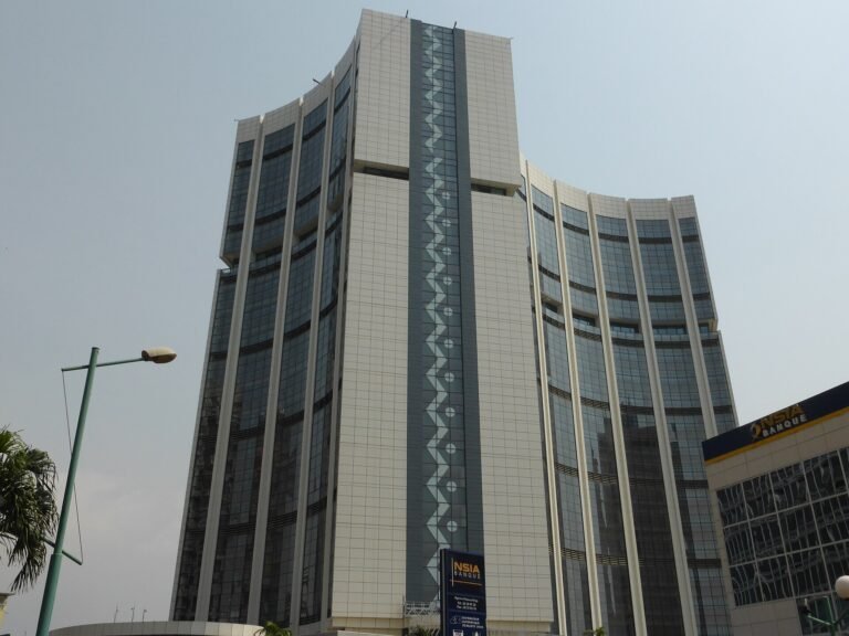 AfDB Wants More of Africa’s US$4tn Domestic Capital Financing African Development