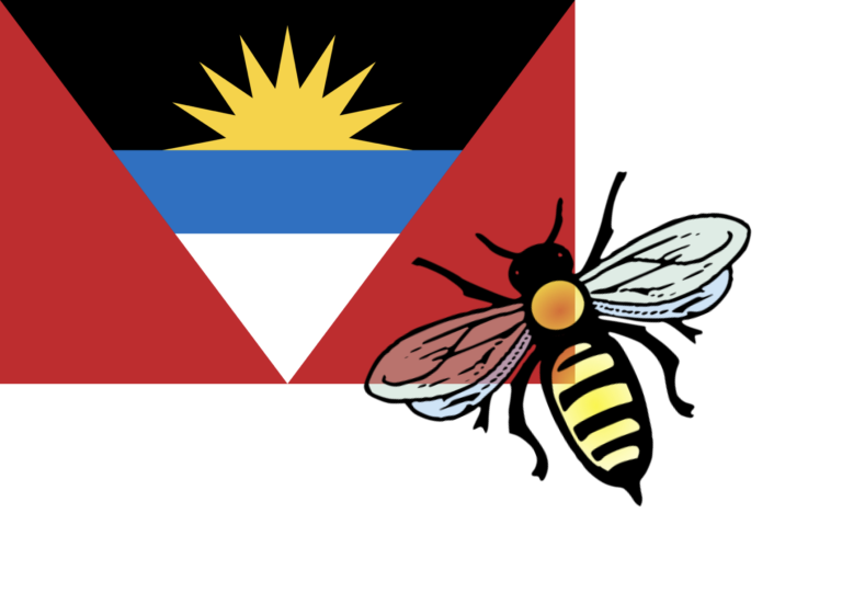 Antigua and Barbuda Seeks AI and Expanded PAHO Support to Reinforce Healthcare