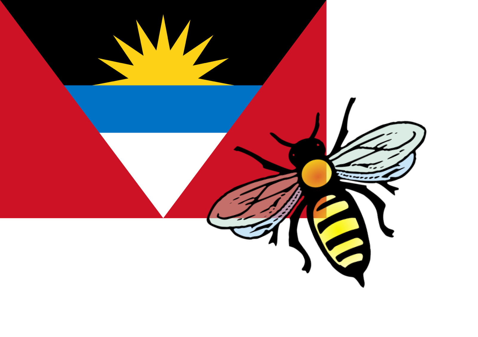 Antigua and Barbuda bee