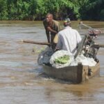 Cameroon launches AfCFTA project to support small border traders