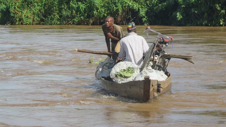 Cameroon launches AfCFTA project to support small border traders