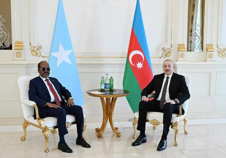 Somalia’s President Courts Investors at Alamein-Africa Business Forum