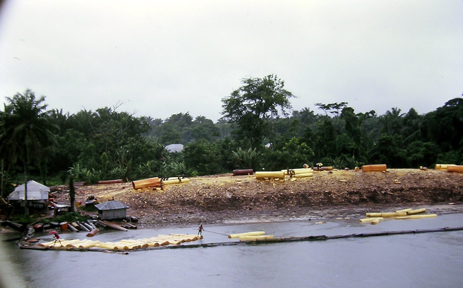 Bûcheronnage dans le delta du Niger