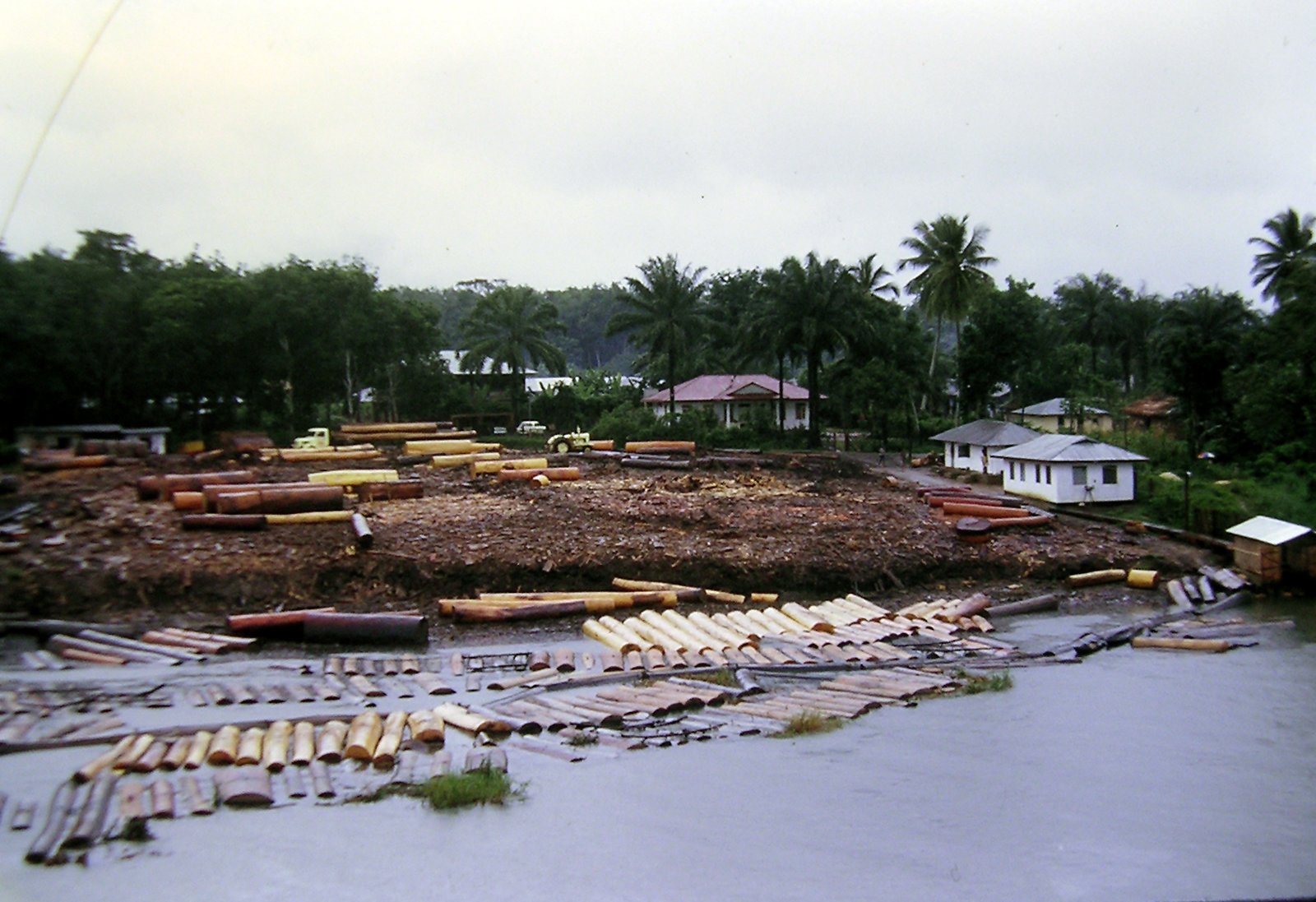 Bûcheronnage et flottage du bois dans le delta du Niger